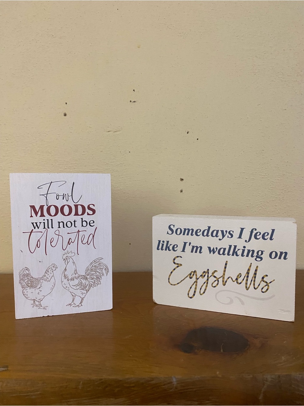 Farmhouse Chicken & Eggshells Wooden Signs - White, Cream, Gold